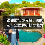 银骏眉与小赤甘，如何选？全面解析核心差异（图2）