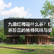 九曲红梅是什么茶？红茶珍品的独特风味与健康功效