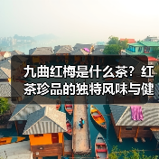 九曲红梅是什么茶？红茶珍品的独特风味与健康功效（图2）