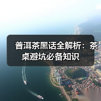 普洱茶黑话全解析：茶桌避坑必备知识（图3）