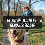 普洱茶黑话全解析：茶桌避坑必备知识（图4）