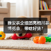 雅安茶企组团亮相川茶博览会，带啥好货？（图4）