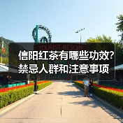信阳红茶有哪些功效？禁忌人群和注意事项（图4）