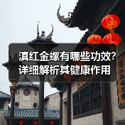 滇红金螺有哪些功效？详细解析其健康作用