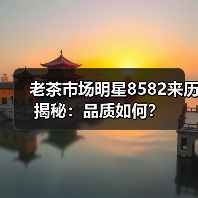 老茶市场明星8582来历揭秘：品质如何？