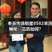 老茶市场明星8582来历揭秘：品质如何？（图4）