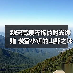 勐宋高境淬炼的时光馈赠 傲雪小饼的山野之味（图4）