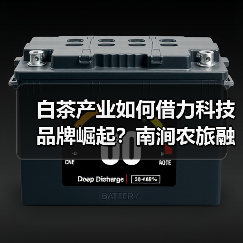 白茶产业如何借力科技品牌崛起？南涧农旅融合共绘振兴蓝图（图2）