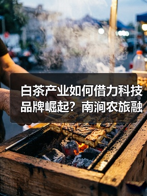白茶产业如何借力科技品牌崛起？南涧农旅融合共绘振兴蓝图（图4）
