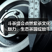斗茶盛会点燃紫茶文化魅力，生态茶园绽放千年茶韵（图4）