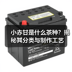 小赤甘是什么茶种？揭秘其分类与制作工艺
