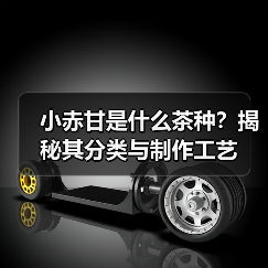 小赤甘是什么茶种？揭秘其分类与制作工艺（图2）