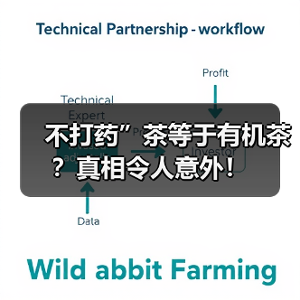 不打药”茶等于有机茶？真相令人意外！（图4）