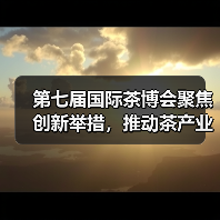 第七届国际茶博会聚焦创新举措，推动茶产业全球发展（图2）