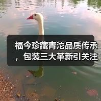 福今珍藏青沱品质传承，包装三大革新引关注（图2）