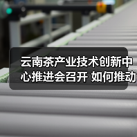云南茶产业技术创新中心推进会召开 如何推动产业高质量发展（图2）