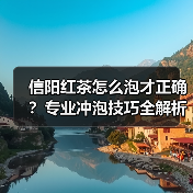 信阳红茶怎么泡才正确？专业冲泡技巧全解析（图4）