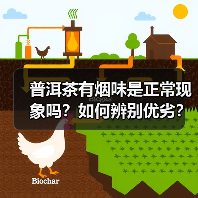 普洱茶有烟味是正常现象吗?如何辨别优劣?(图4) 普洱茶有烟味是正常现象吗?如何辨别优劣?(图4)