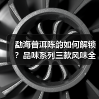 勐海普洱陈韵如何解锁?品味系列三款风味全解析(图3) 勐海普洱陈韵如何解锁?品味系列三款风味全解析(图3)