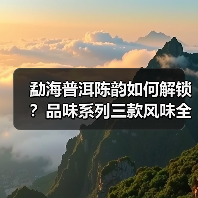 勐海普洱陈韵如何解锁?品味系列三款风味全解析(图4) 勐海普洱陈韵如何解锁?品味系列三款风味全解析(图4)