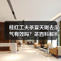 桂红工夫茶夏天喝去湿气有效吗？茶百科解析（图3）