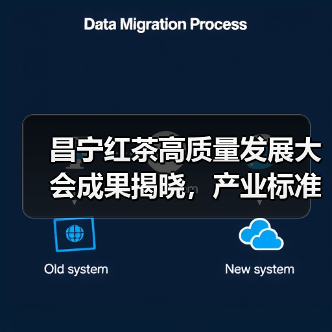 昌宁红茶高质量发展大会成果揭晓，产业标准与科技赋能引领未来（图3）