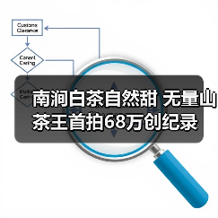 南涧白茶自然甜 无量山茶王首拍68万创纪录(图3) 南涧白茶自然甜 无量山茶王首拍68万创纪录(图3)