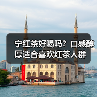 宁红茶好喝吗?口感醇厚适合喜欢红茶人群(图2) 宁红茶好喝吗?口感醇厚适合喜欢红茶人群(图2)