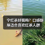 宁红茶好喝吗?口感醇厚适合喜欢红茶人群(图3) 宁红茶好喝吗?口感醇厚适合喜欢红茶人群(图3)