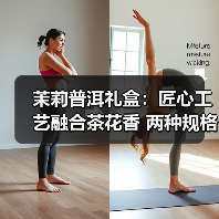 茉莉普洱礼盒：匠心工艺融合茶花香 两种规格满足茶生活（图4）