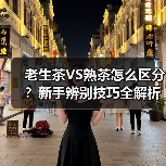 老生茶VS熟茶怎么区分？新手辨别技巧全解析（图1）