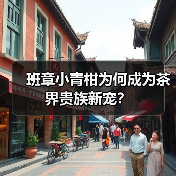 班章小青柑为何成为茶界贵族新宠?(图4) 班章小青柑为何成为茶界贵族新宠?(图4)