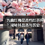 九曲红梅是高档红茶吗?揭秘其品质与历史(图3) 九曲红梅是高档红茶吗?揭秘其品质与历史(图3)