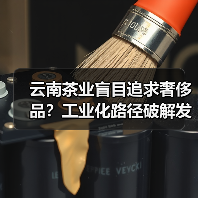 云南茶业盲目追求奢侈品?工业化路径破解发展困局(图3) 云南茶业盲目追求奢侈品?工业化路径破解发展困局(图3)