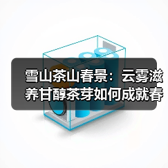 雪山茶山春景:云雾滋养甘醇茶芽如何成就春日佳品?(图3) 雪山茶山春景:云雾滋养甘醇茶芽如何成就春日佳品?(图3)