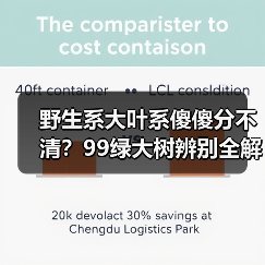 野生系大叶系傻傻分不清？99绿大树辨别全解析（图1）