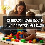野生系大叶系傻傻分不清？99绿大树辨别全解析（图2）