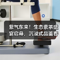 紫气东来!生态紫茶盛宴启幕,沉浸式品鉴春茶之旅(图4) 紫气东来!生态紫茶盛宴启幕,沉浸式品鉴春茶之旅(图4)