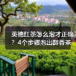 英德红茶怎么泡才正确?4个步骤泡出醇香茶汤(图2) 英德红茶怎么泡才正确?4个步骤泡出醇香茶汤(图2)