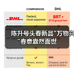 陈升号头春新品 陈升号头春新品