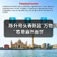 陈升号头春新品 陈升号头春新品