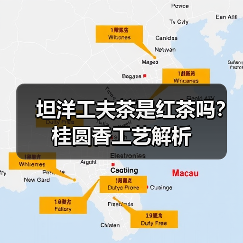 坦洋工夫茶是红茶吗?桂圆香工艺解析(图3) 坦洋工夫茶是红茶吗?桂圆香工艺解析(图3)