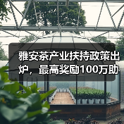 雅安茶产业扶持政策出炉,最高奖励100万助力振兴(图3) 雅安茶产业扶持政策出炉,最高奖励100万助力振兴(图3)