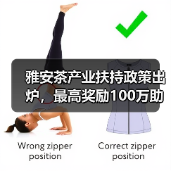 雅安茶产业扶持政策出炉,最高奖励100万助力振兴(图4) 雅安茶产业扶持政策出炉,最高奖励100万助力振兴(图4)