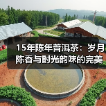 15年陈年普洱茶:岁月陈香与时光韵味的完美融合(图1) 15年陈年普洱茶:岁月陈香与时光韵味的完美融合(图1)