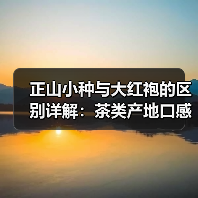 正山小种与大红袍的区别详解:茶类产地口感全对比(图4) 正山小种与大红袍的区别详解:茶类产地口感全对比(图4)