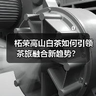 柘荣高山白茶如何引领茶旅融合新趋势？（图1）
