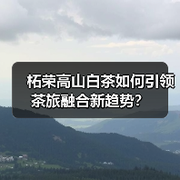 柘荣高山白茶如何引领茶旅融合新趋势？（图3）