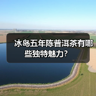 冰岛五年陈普洱茶有哪些独特魅力?(图4) 冰岛五年陈普洱茶有哪些独特魅力?(图4)