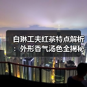 白琳工夫红茶特点解析：外形香气汤色全揭秘（图4）